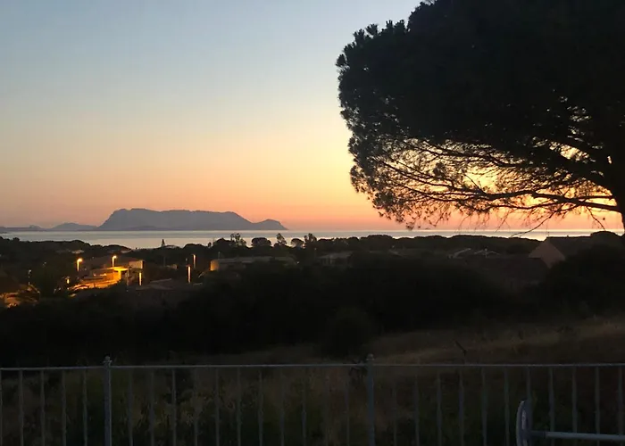 Vista Mare Con Piscina A - Baia Sant'anna Vakantiehuis Budoni